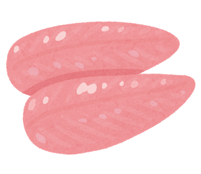 発達障害 食事 ビタミンB6 鶏ささみ